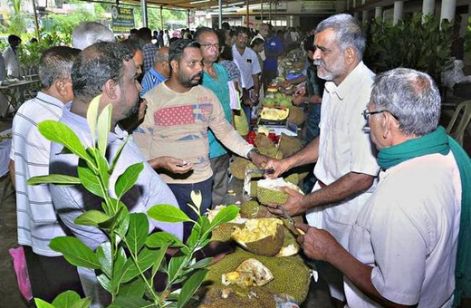 udupi jackfruit mela